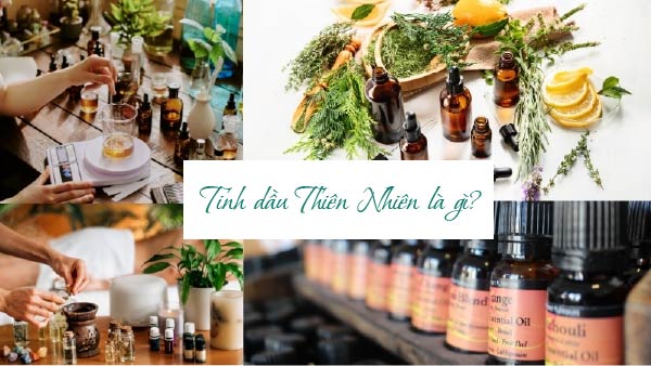 TINH DẦU THIÊN NHIÊN LÀ GÌ? CÔNG DỤNG MỸ PHẨM VÀ ĐỜI SỐNG